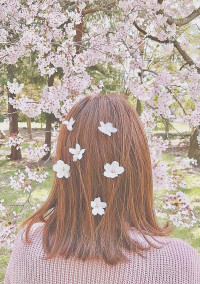 紅一点ものがたり