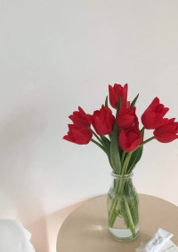 🌹中編小説 ~関ジュ~