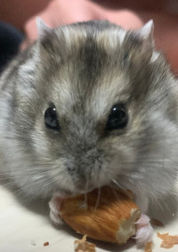 お喋りのお部屋