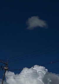融かして、夏