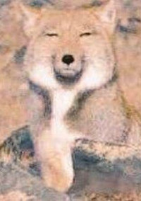 うおっほほほえええい