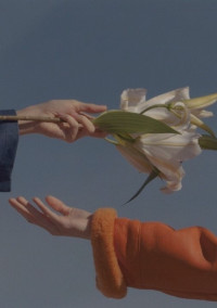 onewish