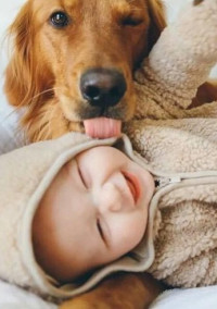犬 と 我 が 子 に 嫉 妬 。