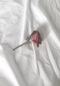 何も知らない君は