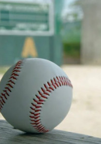 全員野球。~ひと夏に掛ける野球ボールへの想い〜