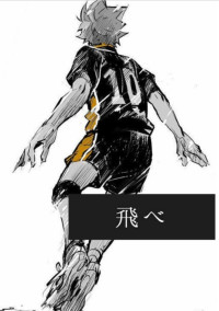 攻 略 対 象 : 私 .【ハイキュー!!】