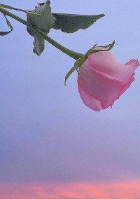 약속 . 🌷