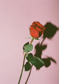 隣 . 🌷