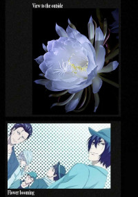 闇に咲く花