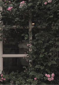 아빠