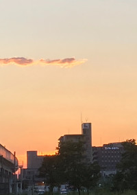 誰が私を愛して愛させて