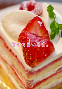 甘くて苦い苺達。~すとぷり短編集~