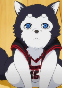 🏀黒子のバスケ 短編集🏀