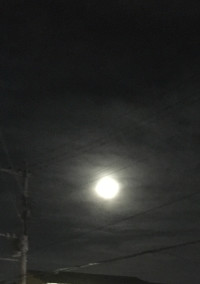 夜の2人
