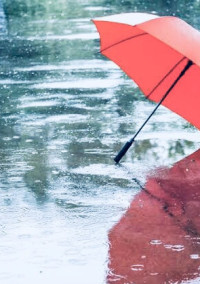 雨音、戯言、その先に