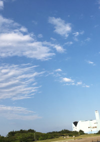 烏野のマネージャーの初恋は…