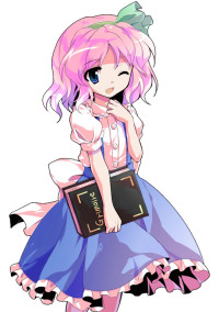 東方改変スキン(使用不可)