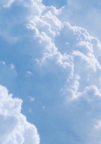 彼はまた哀しそうに笑う。