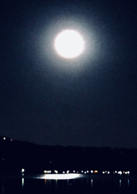 この手に抱く時