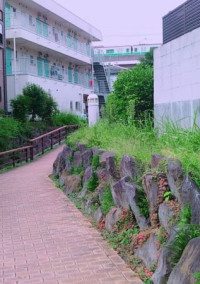 私の兄