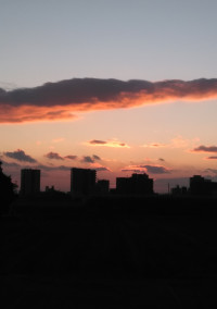 夕に君【短編】【初投稿】