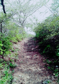 見つけたのは過去でした