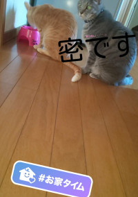 参加型関係。宣伝。