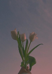 唯一無二の存在です