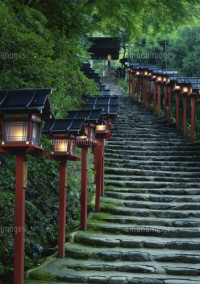 鳥居の向こうで