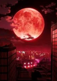 宇宙を駆けるよだか -next-