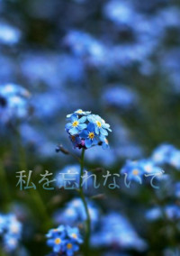 花言葉は________。