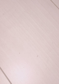 禁断の恋