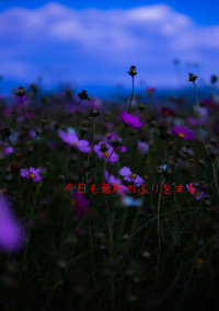 今日も無能のふりをする