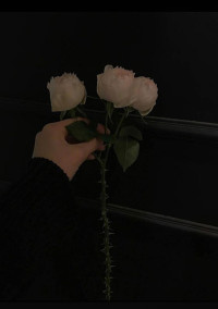 男性恐怖症 全30話 連載中 なにふぁむ7starさんの夢小説 無料スマホ夢小説ならプリ小説 Bygmo