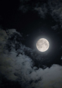 満 月 ノ 夜 を 君 と