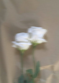 とうふの日記✐