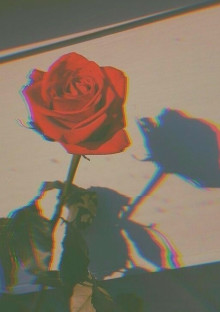 一 応 ア イ ド ル で す .