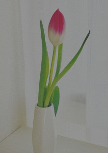 この恋はもう終わる