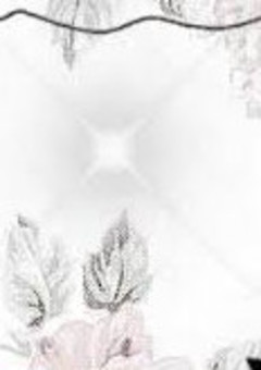 ち   ち   ん   ぷ   い  ぷ  い