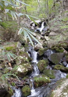 僕(女の子)の親戚やばくない？w