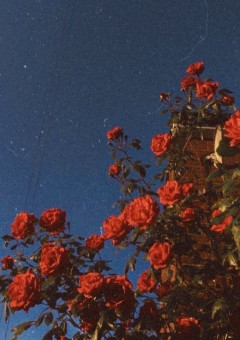 入学したら男だらけだった！！