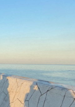 今日好き第1弾