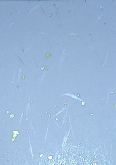 SixTONESは7人､､､？