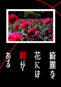 綺麗な花には棘がある【月曜日】