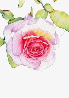 ωrωrdと花嫁生活!?