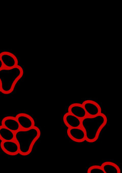 琉くんとデート！