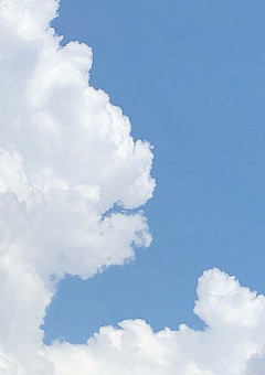 モブに恋してしまいました。【桃】
