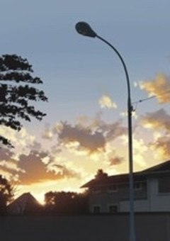 【名探偵コナン】愛され少女と小さな探偵【蘭成り代わり】