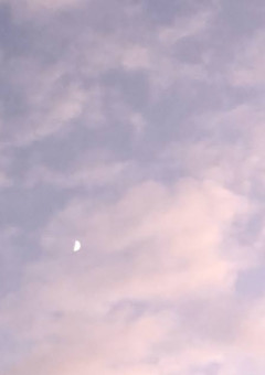 【 ヒロアカ 】〇〇してみた　されてみた