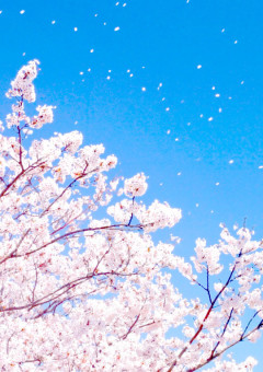 君は私／俺とこの空の下で結ばれた